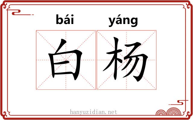 白杨 白杨
