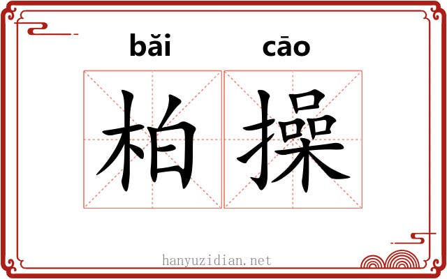 柏操 柏操