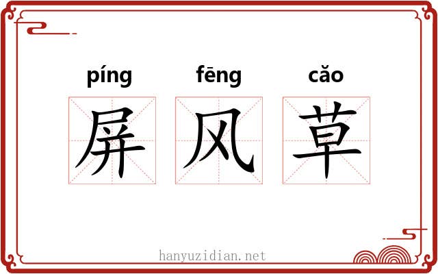 屏风草 屏风草