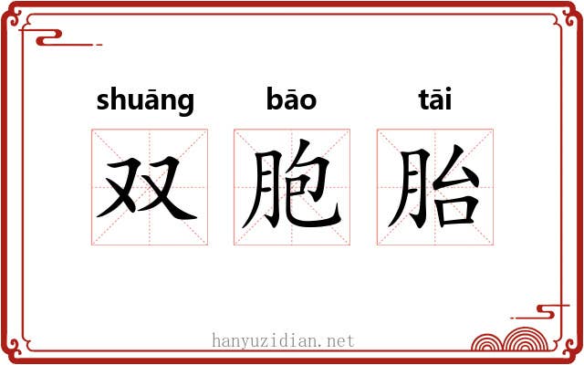 双胞胎 双胞胎