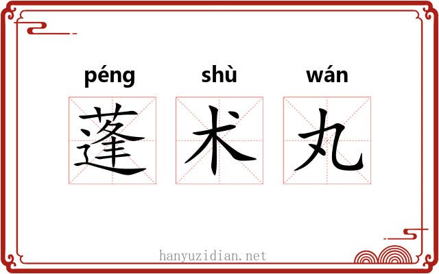 蓬术丸 蓬术丸