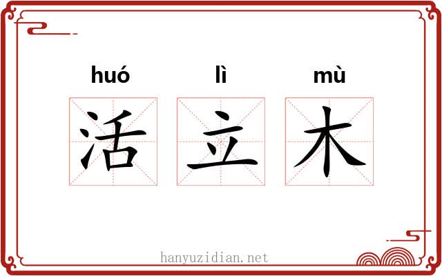 活立木 活立木