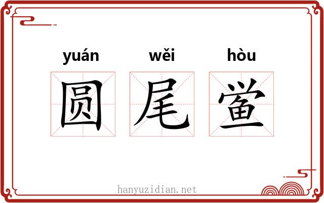 圆尾鲎