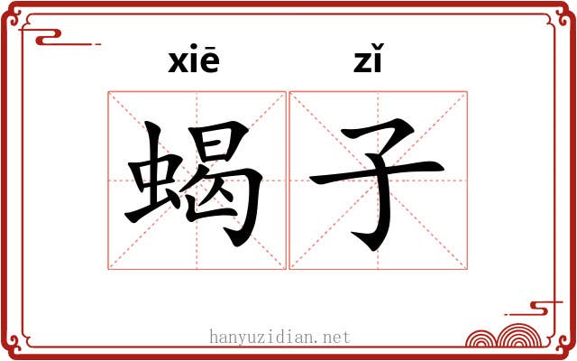 蝎子 蝎子