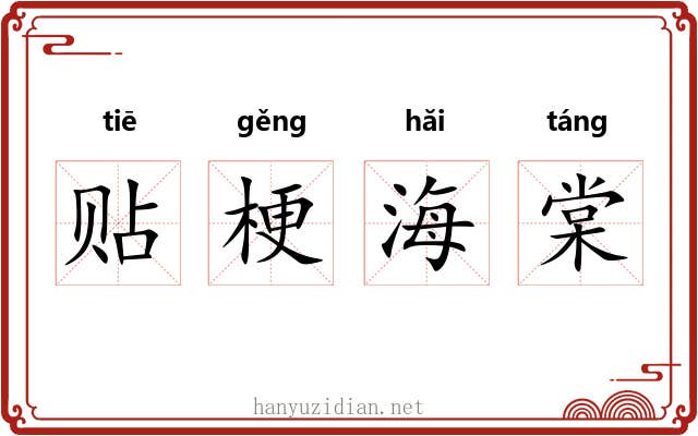 贴梗海棠