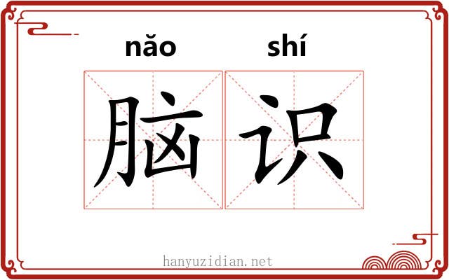 脑识 脑识
