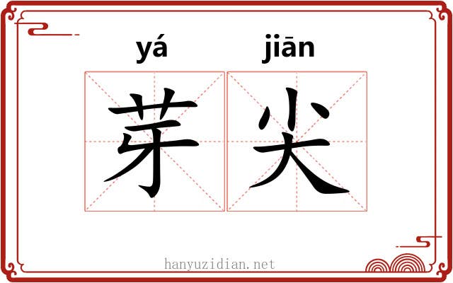 芽尖