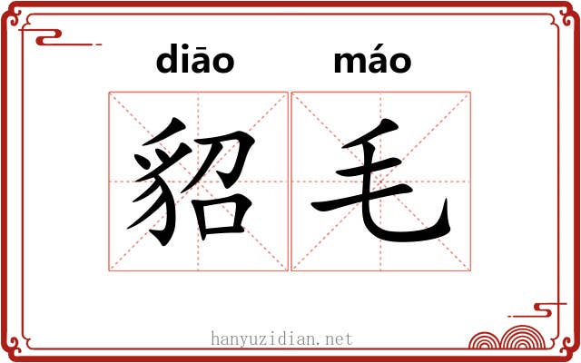 貂毛 貂毛