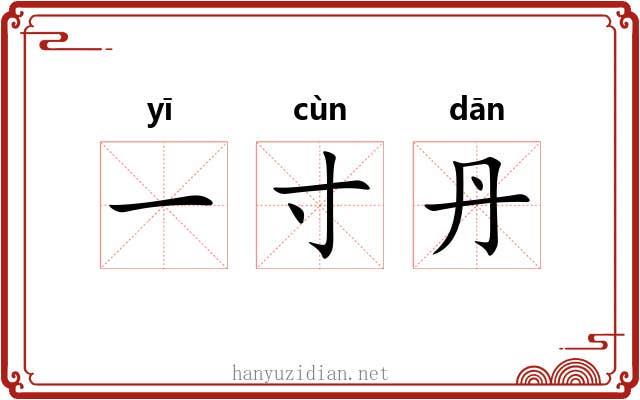 一寸丹 一寸丹