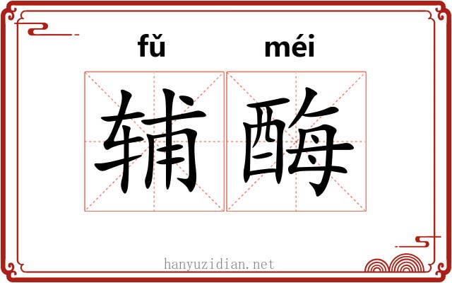 辅酶