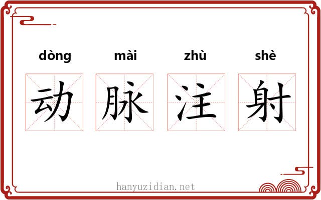 动脉注射 动脉注射