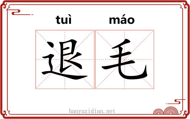 退毛 退毛
