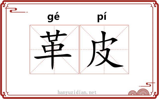 革皮