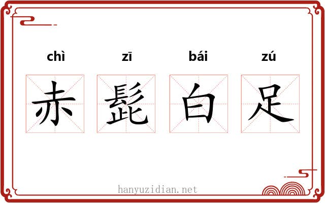 赤髭白足 赤髭白足