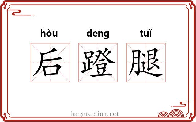 后蹬腿 后蹬腿