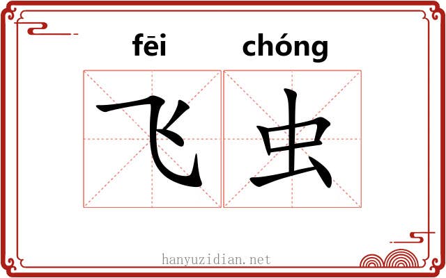 飞虫