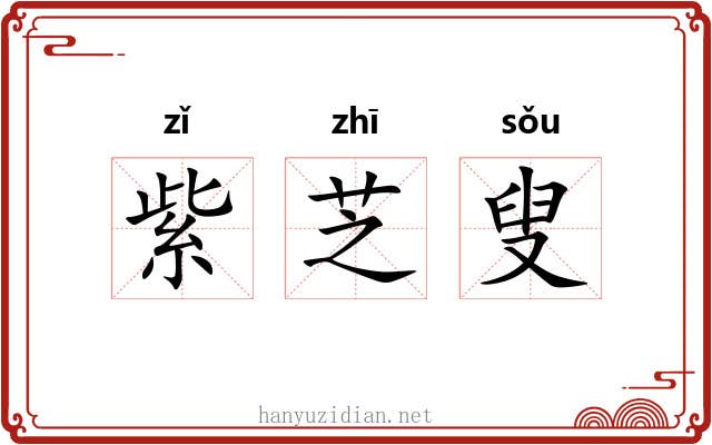 紫芝叟 紫芝叟