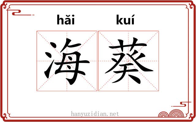 海葵 海葵