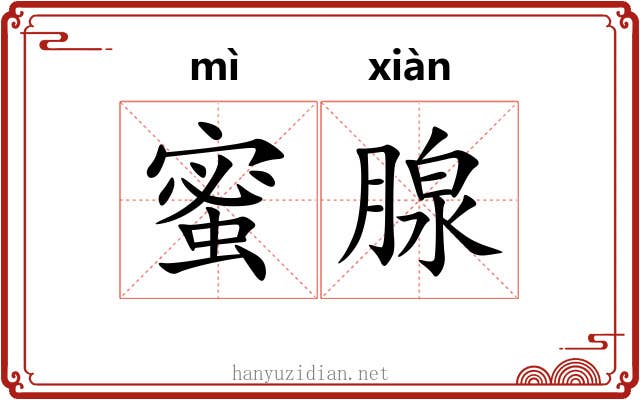 蜜腺