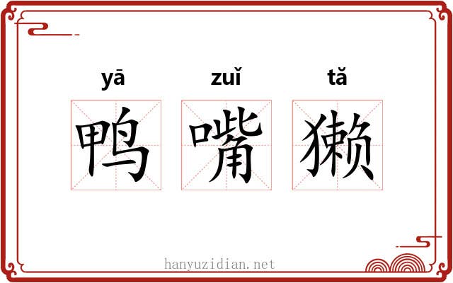 鸭嘴獭