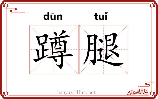 蹲腿