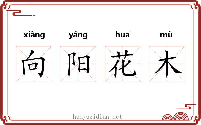 向阳花木 向阳花木