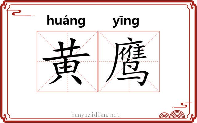 黄鹰