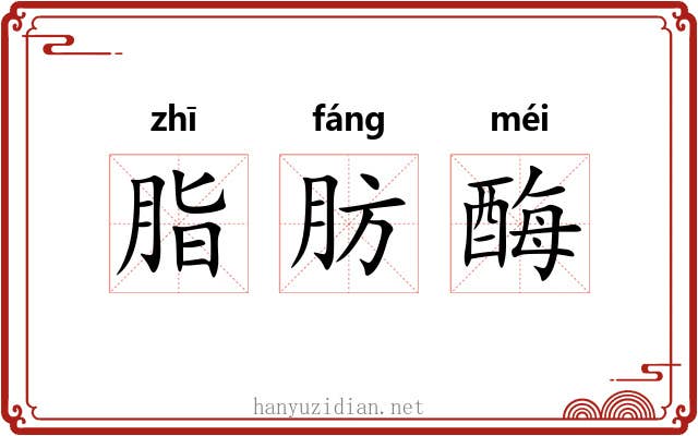 脂肪酶