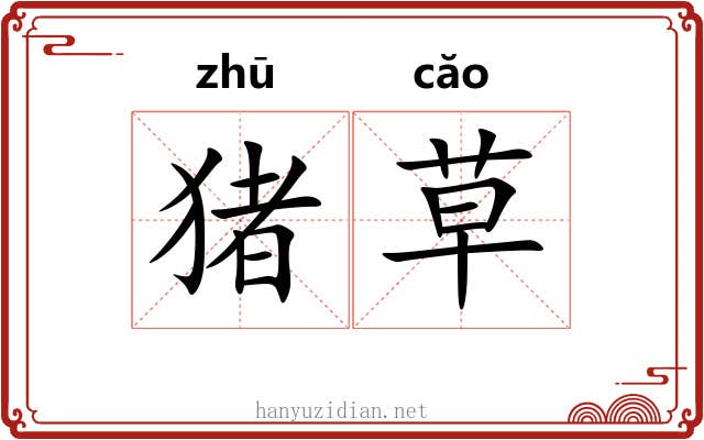 猪草 猪草