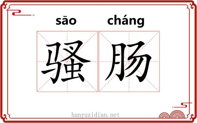 骚肠