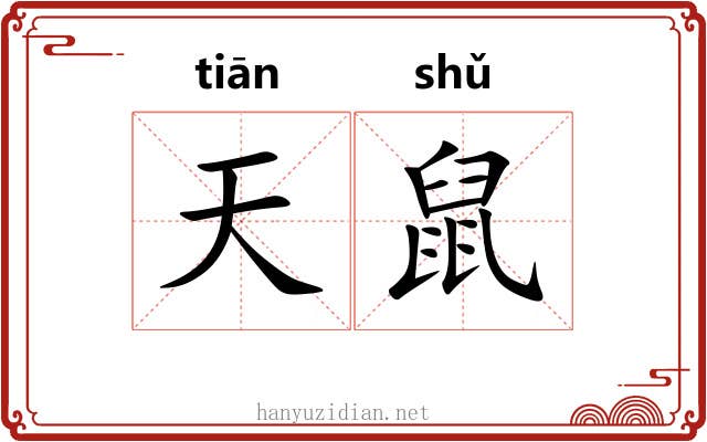天鼠