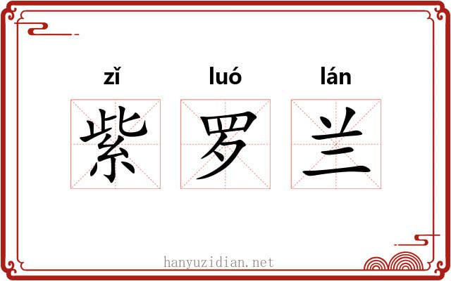 紫罗兰 紫罗兰
