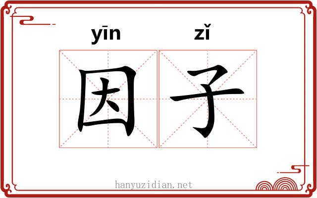 因子 因子