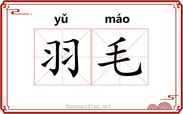 羽毛 羽毛