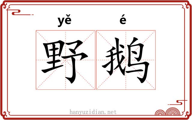 野鹅