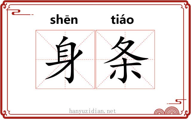 身条