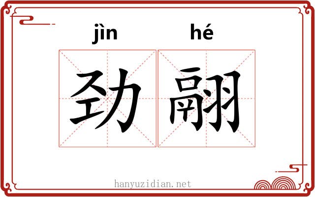劲翮