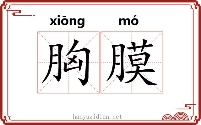 胸膜