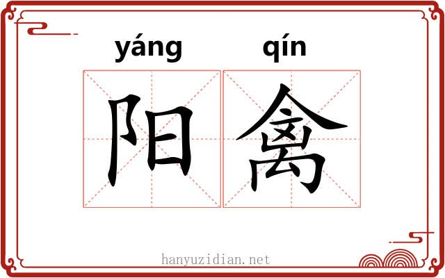 阳禽 阳禽