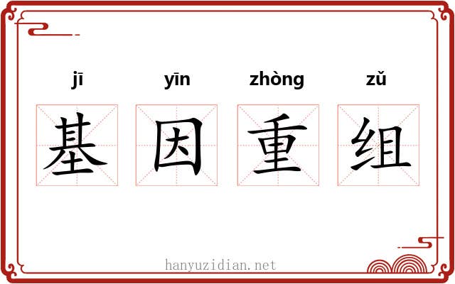 基因重组
