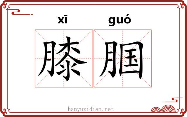 膝腘