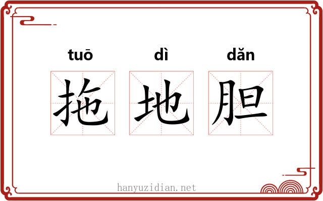 拖地胆