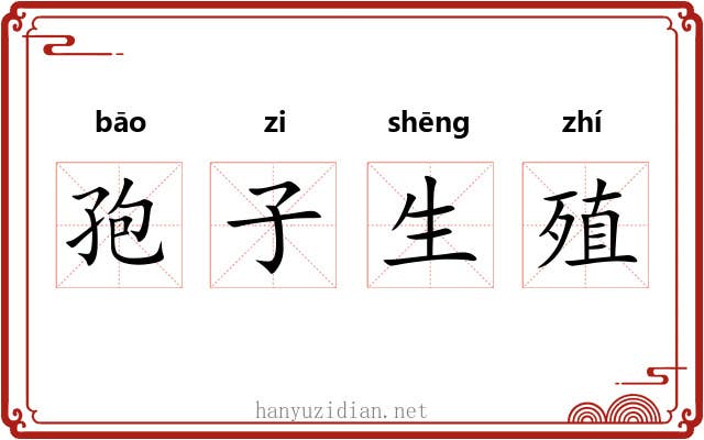 孢子生殖
