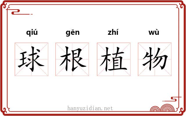 球根植物
