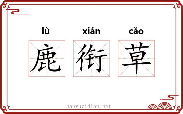 鹿衔草 鹿衔草