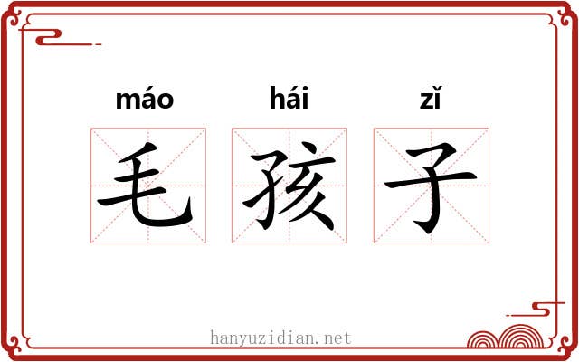 毛孩子 毛孩子