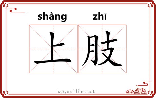 上肢 上肢