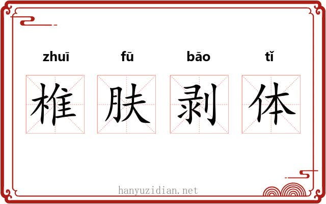 椎肤剥体 椎肤剥体