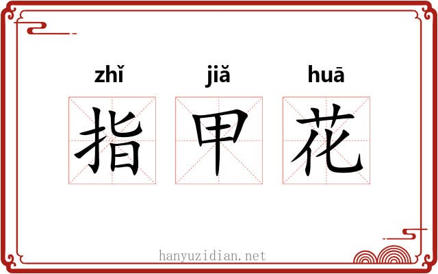 指甲花 指甲花