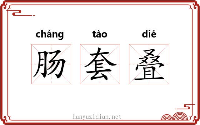 肠套叠 肠套叠